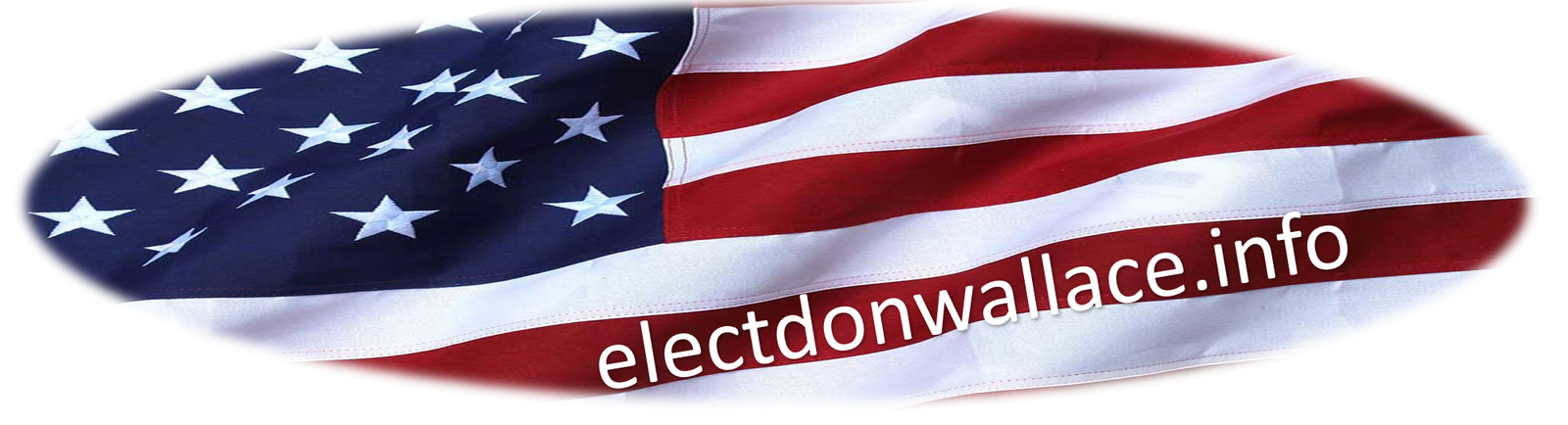 electdonwallace.info